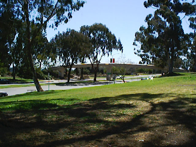 SDZoo040100b