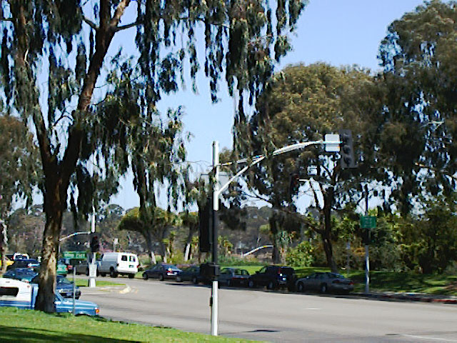 SDZoo040100c