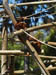 SDZoo040100i