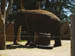 SDZoo040100q