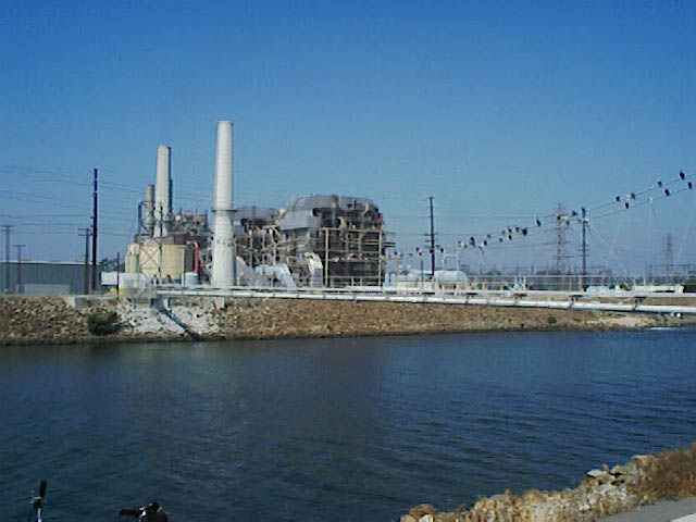 SealBeach_090900_A