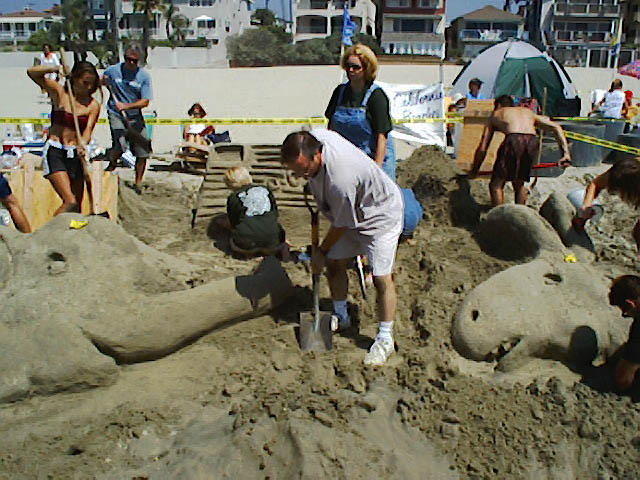 SealBeach_090900_O