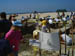 SealBeach_090900_P