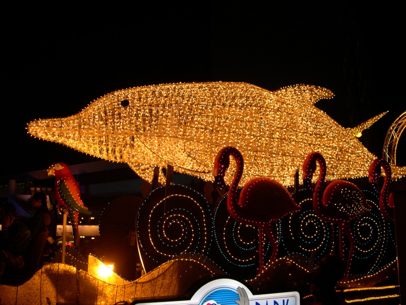 DSCN0058.JPG