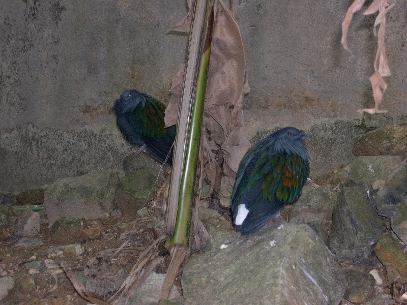 DSCN0084.JPG