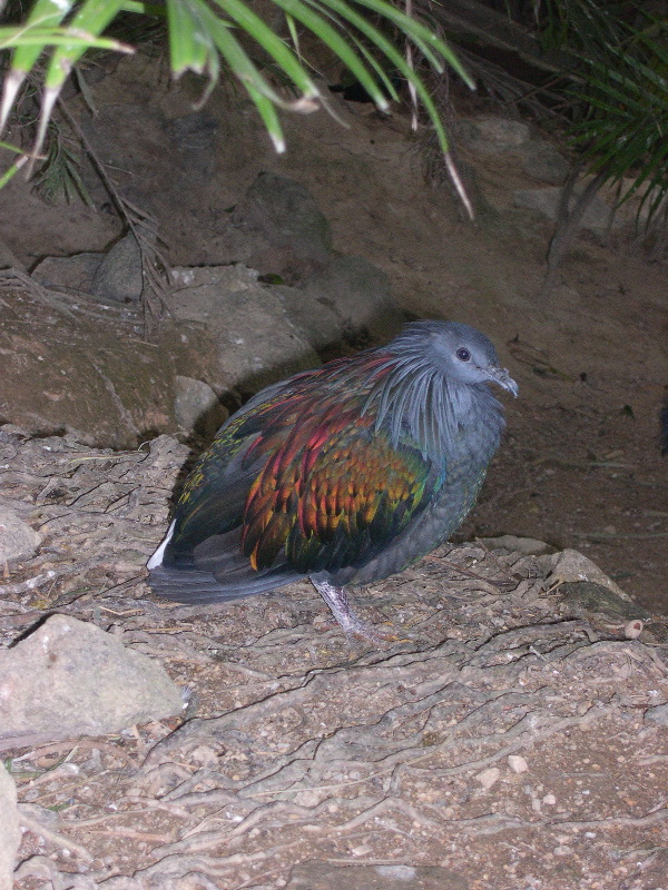 DSCN0085.JPG
