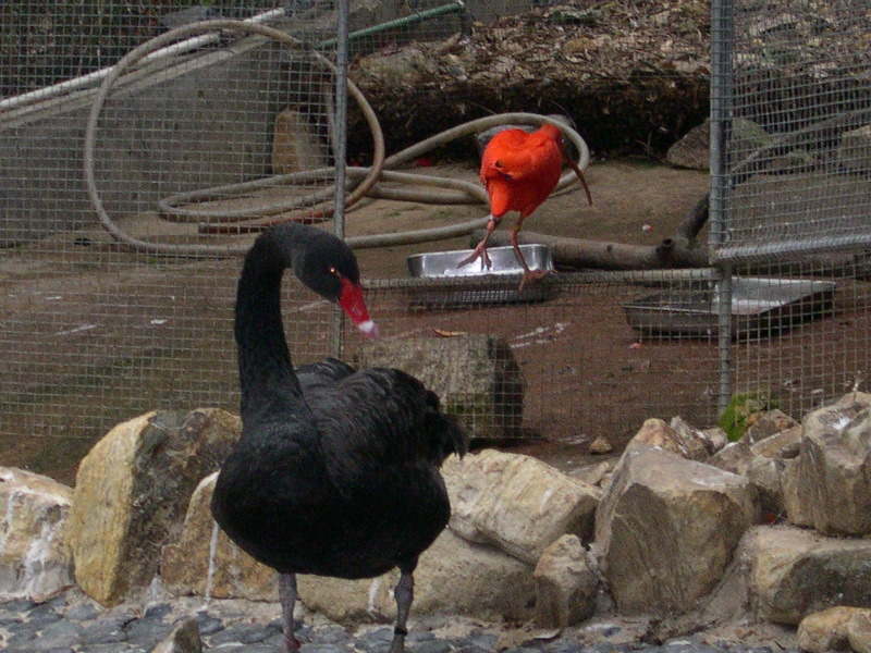 DSCN0087.JPG
