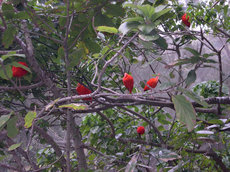 DSCN0088.JPG