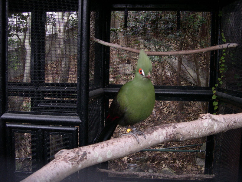 DSCN0089.JPG