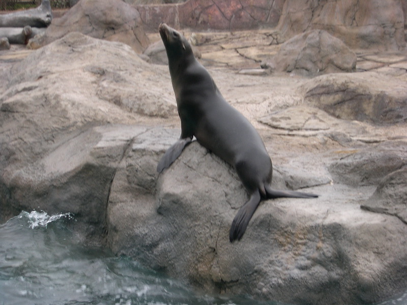 DSCN0094.JPG