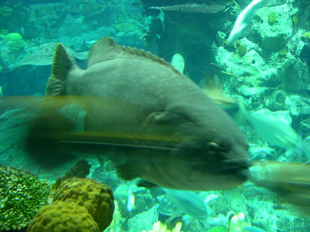 DSCN0101.JPG