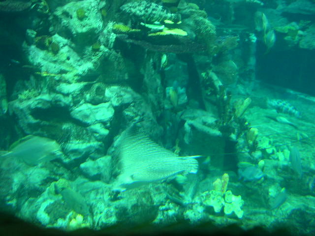 DSCN0102.JPG