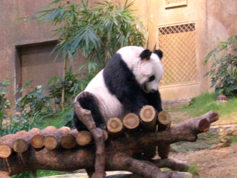 DSCN0103.JPG