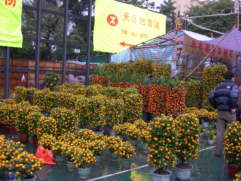 DSCN0087