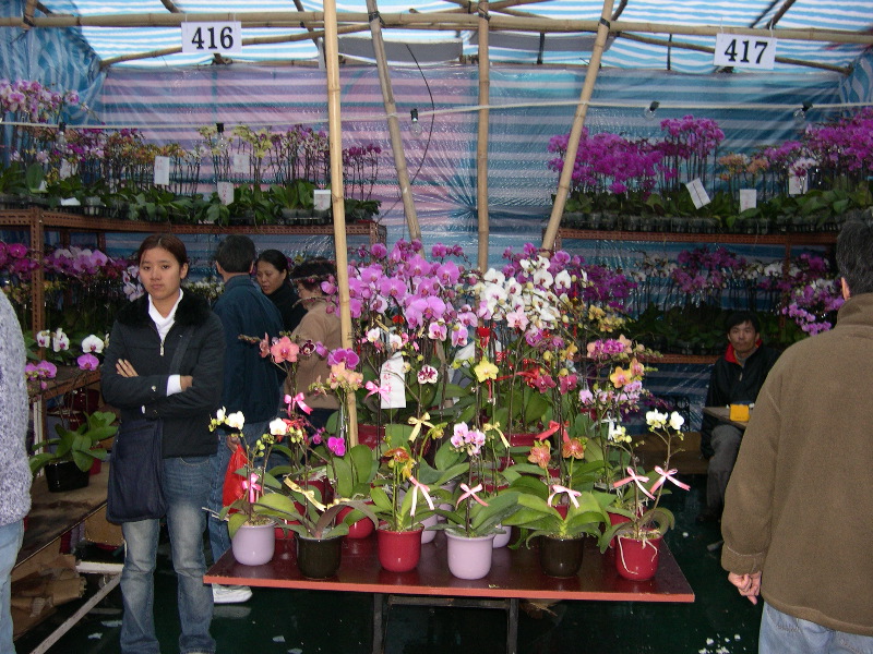 DSCN0088