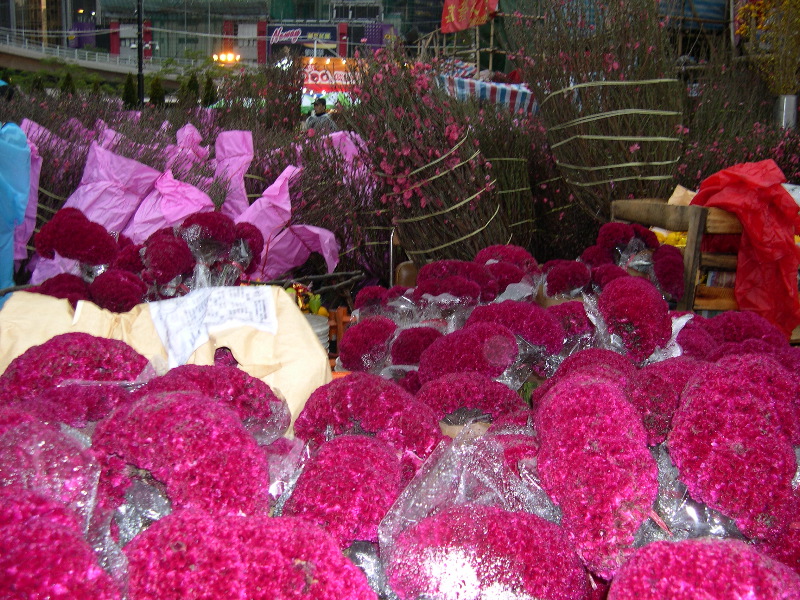 DSCN0091