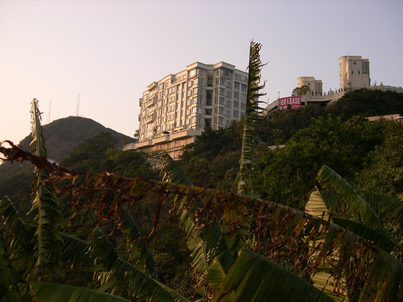DSCN0110