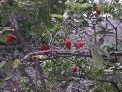 DSCN0088.JPG