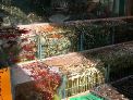 DSCN0038.JPG
