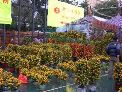DSCN0087