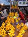 DSCN0089