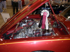 DSCN0056.JPG