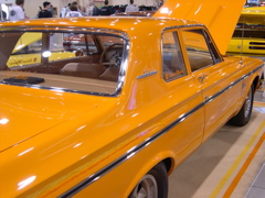 DSCN0091.JPG