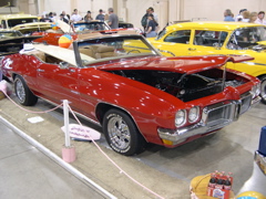 DSCN0097.JPG