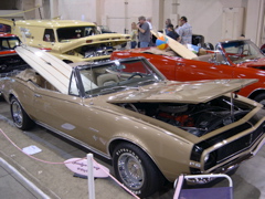 DSCN0098.JPG