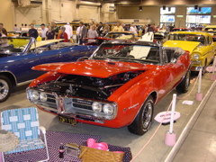 DSCN0110.JPG