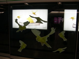 DSCN0051.JPG