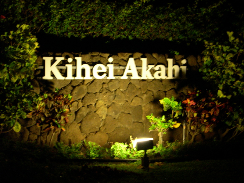 DSCN0049.JPG