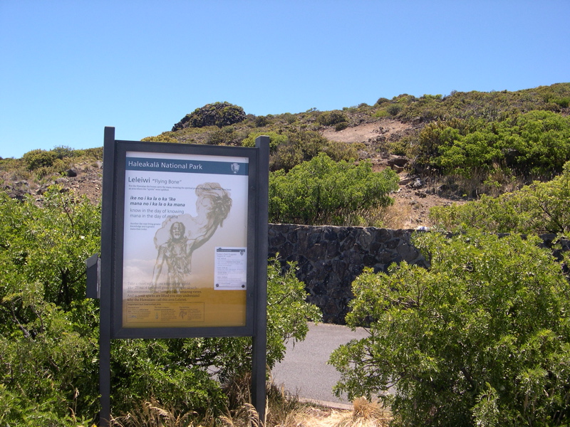 DSCN0015.JPG