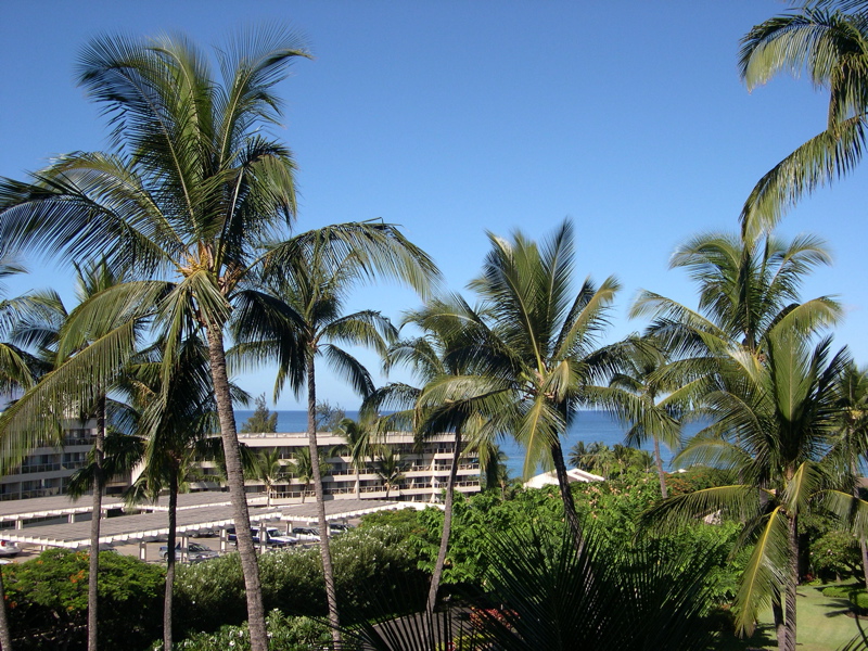 DSCN0004.JPG