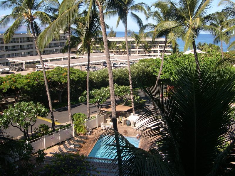 DSCN0005.JPG