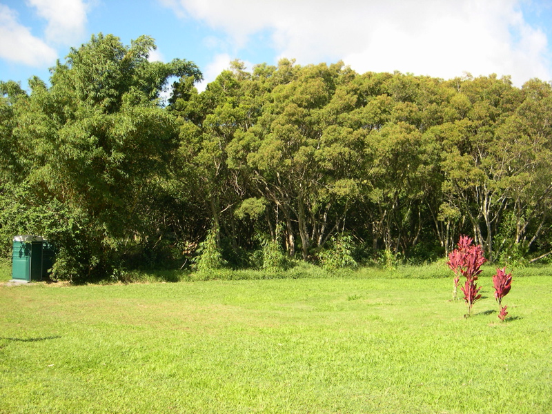 DSCN0090.JPG