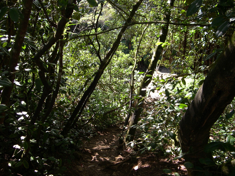 DSCN0095.JPG