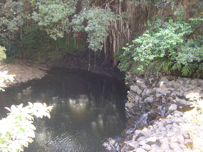 DSCN0097.JPG