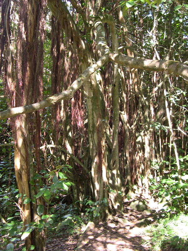 DSCN0098.JPG