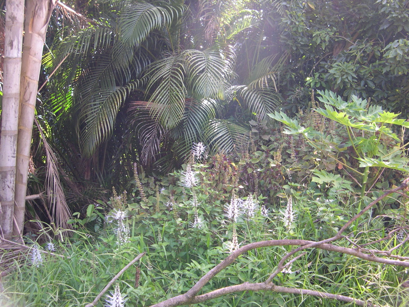 DSCN0100.JPG