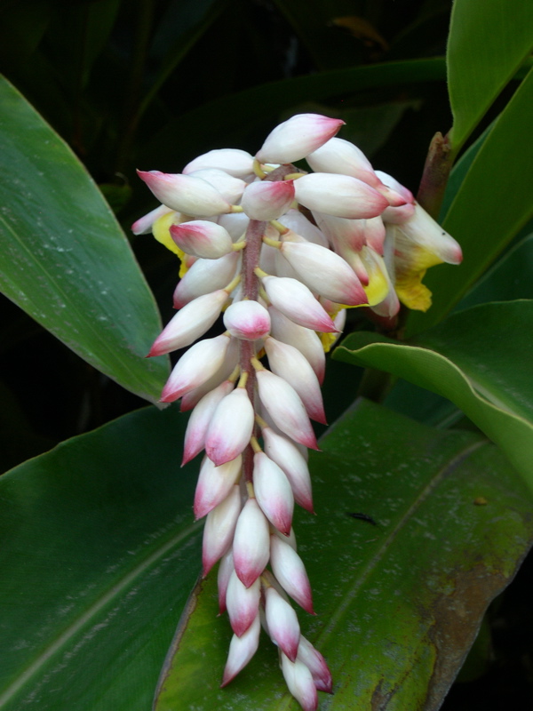 DSCN0104.JPG