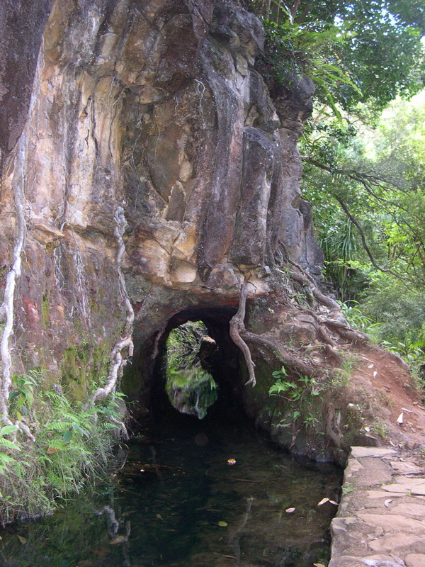 DSCN0106.JPG