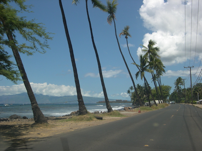 DSCN0116.JPG