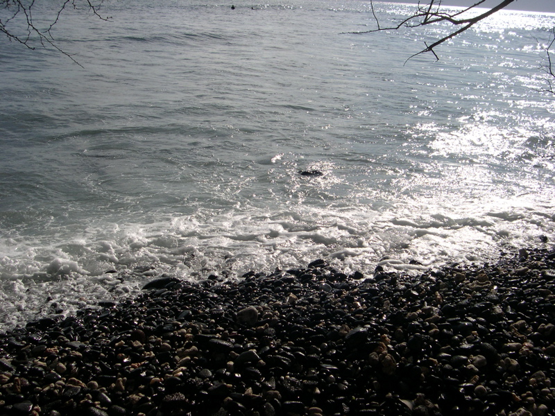 DSCN0126.JPG