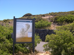 DSCN0015.JPG