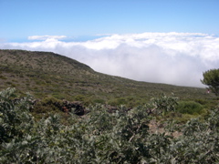 DSCN0017.JPG