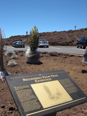DSCN0029.JPG
