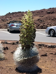DSCN0030.JPG
