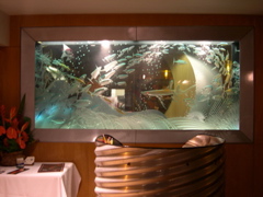 DSCN0037.JPG