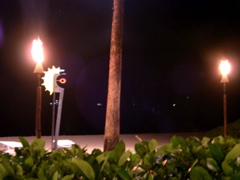 DSCN0042.JPG